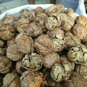 薄皮核桃30mm以上去皮