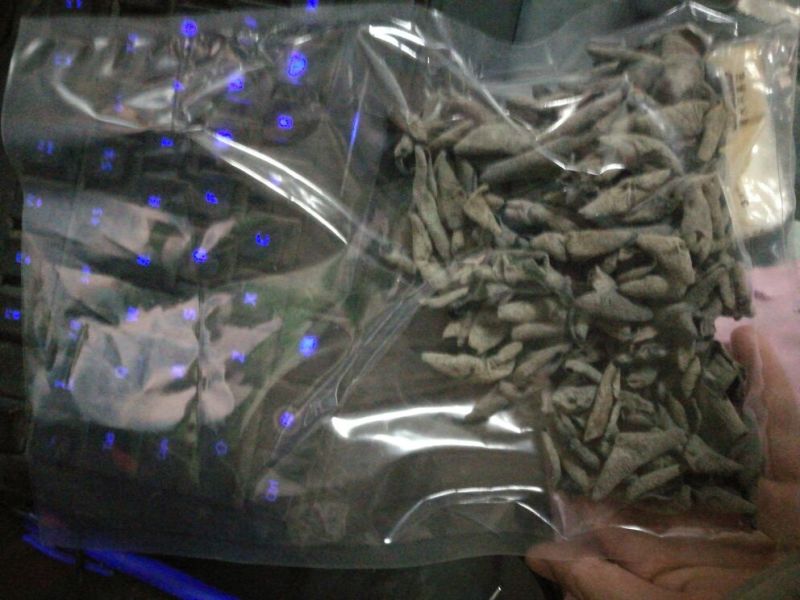 黑木耳一级