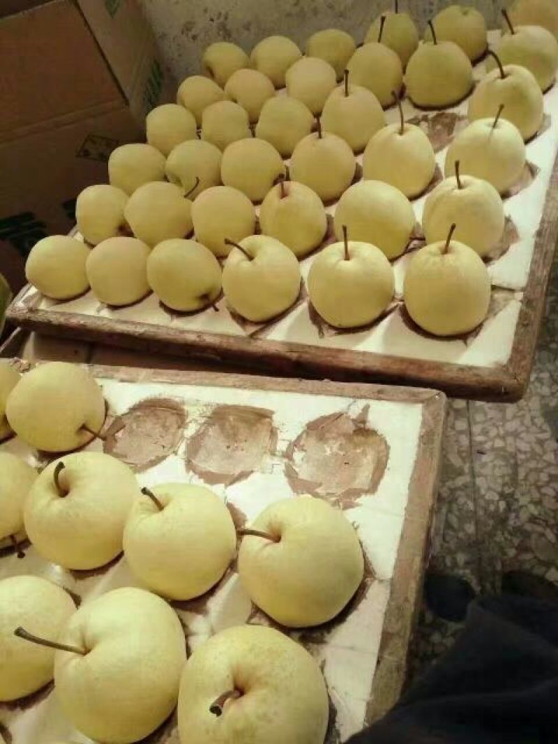 酥梨300~350g纸袋