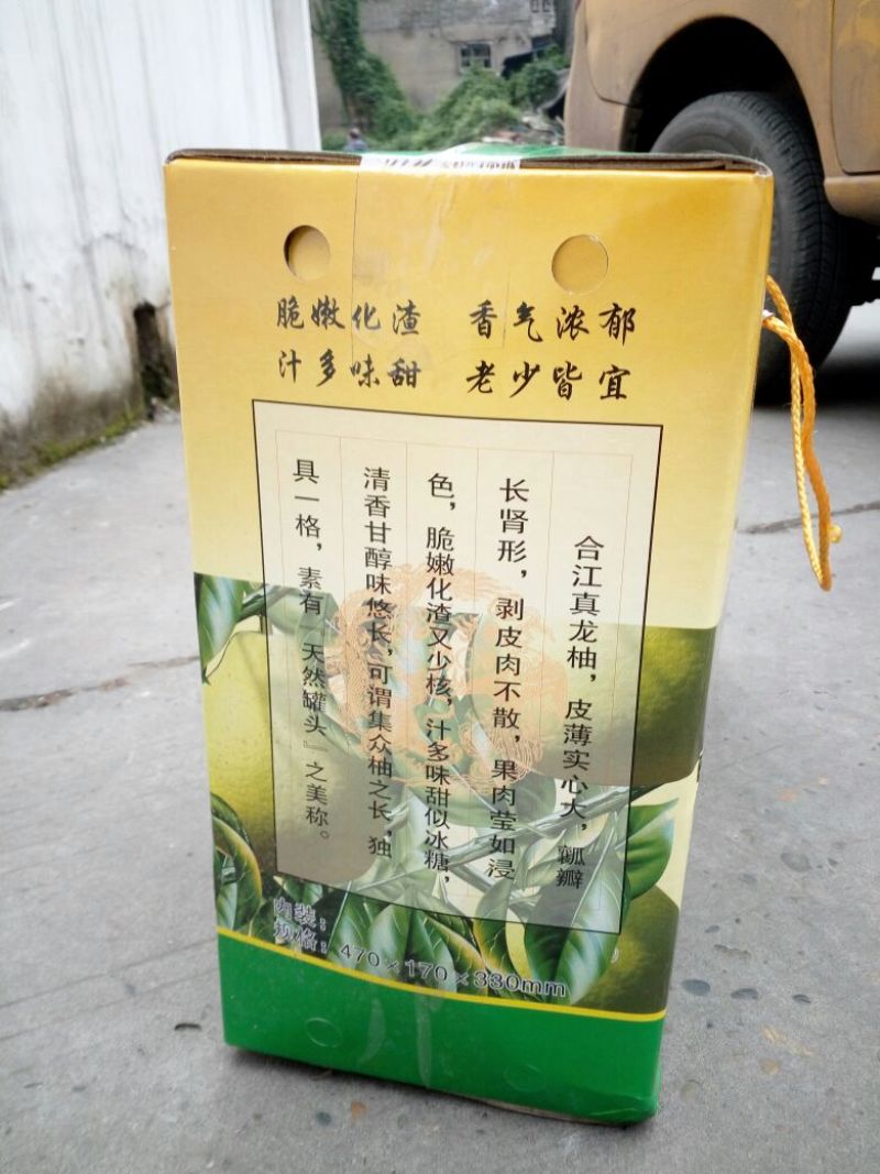 真龙柚单枚2斤以上【量大可优】
