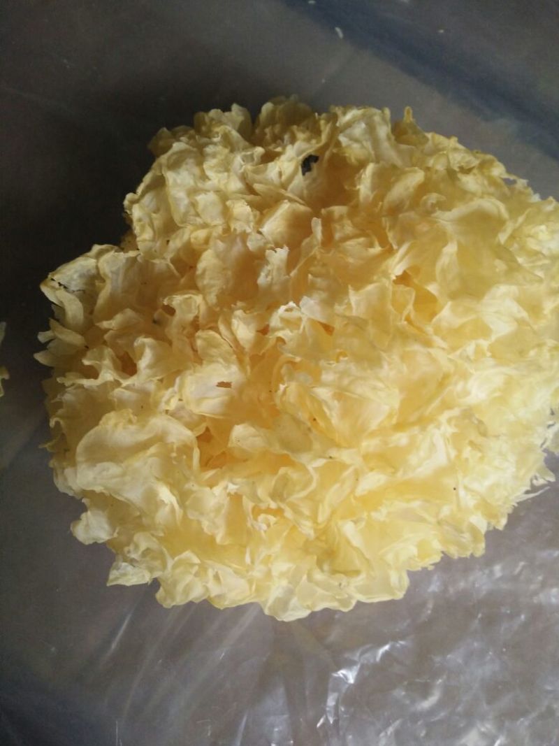 白木耳一级