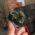 无铅松花蛋