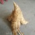 冬笋3两以上