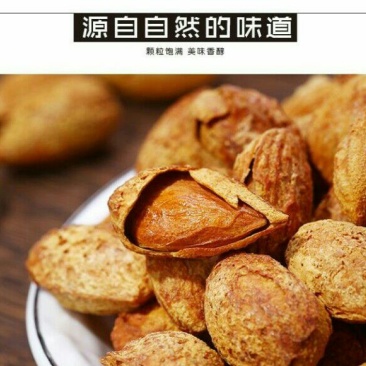 巴旦木罐装