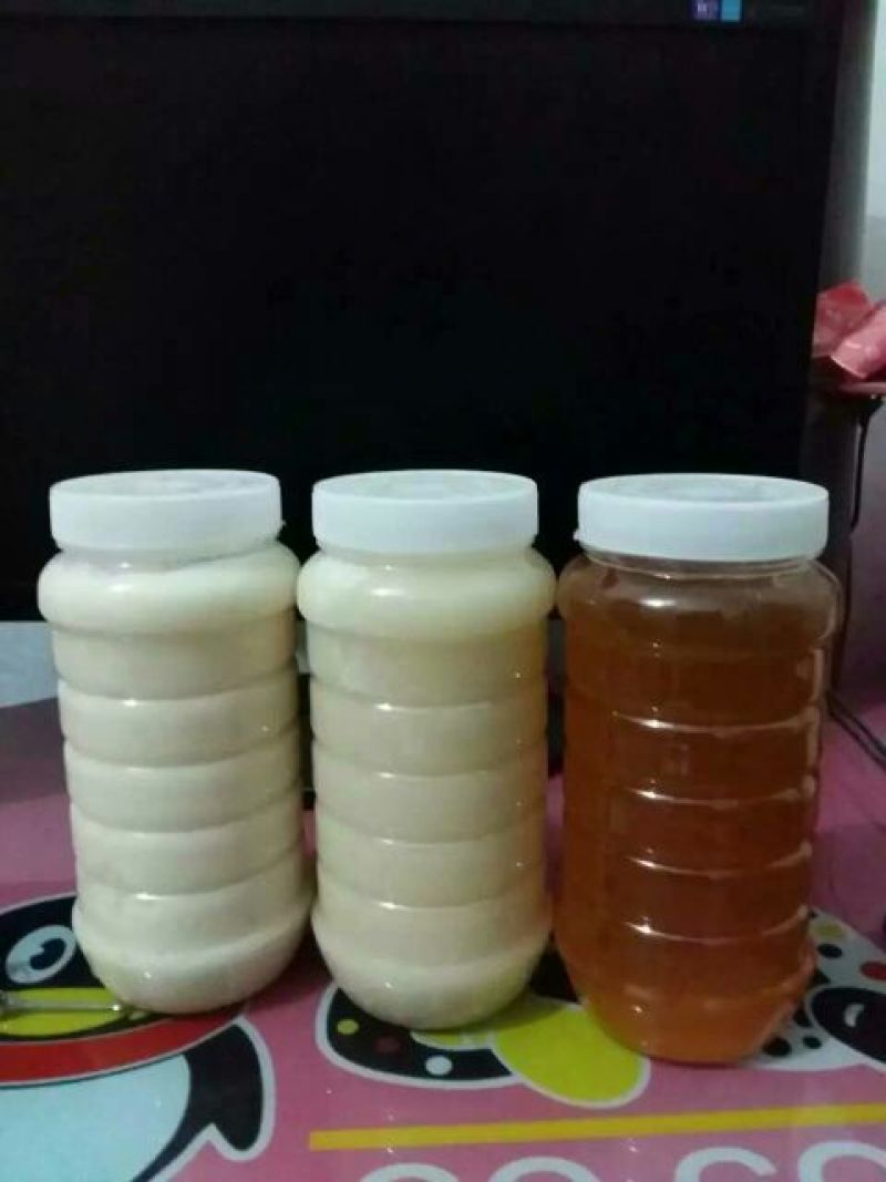 槐花蜜5斤以上