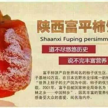 柿饼1~2两