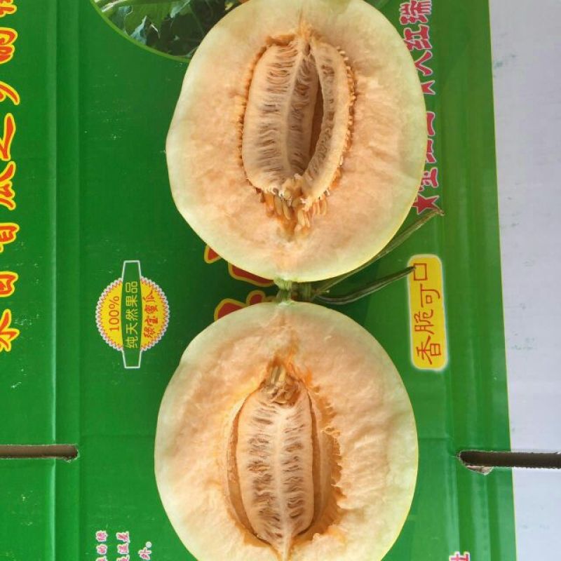 金红宝甜瓜2斤以上
