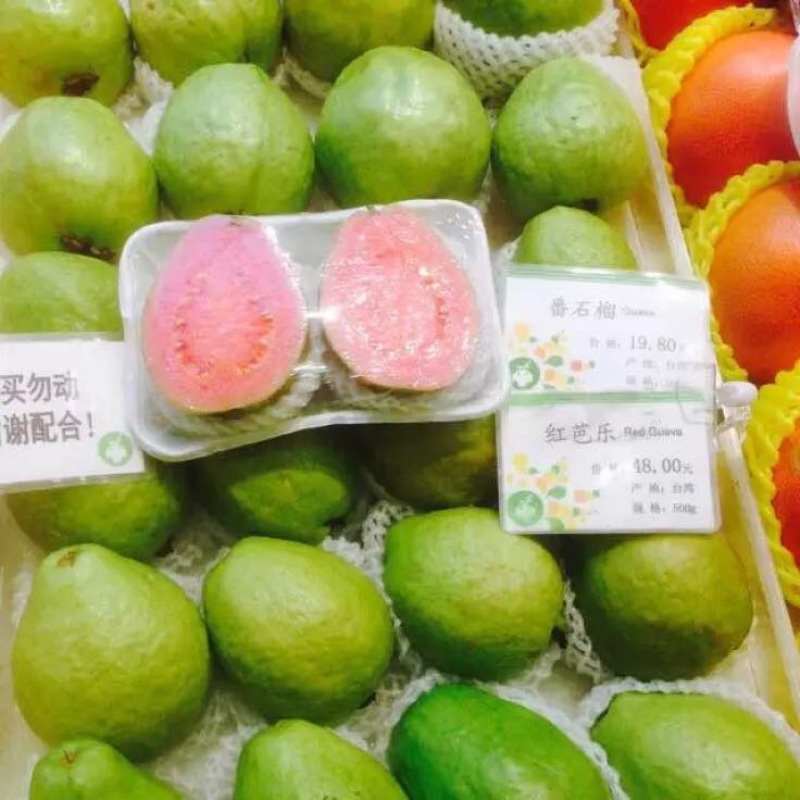 西瓜番石榴苗