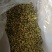 杭州白菊袋装