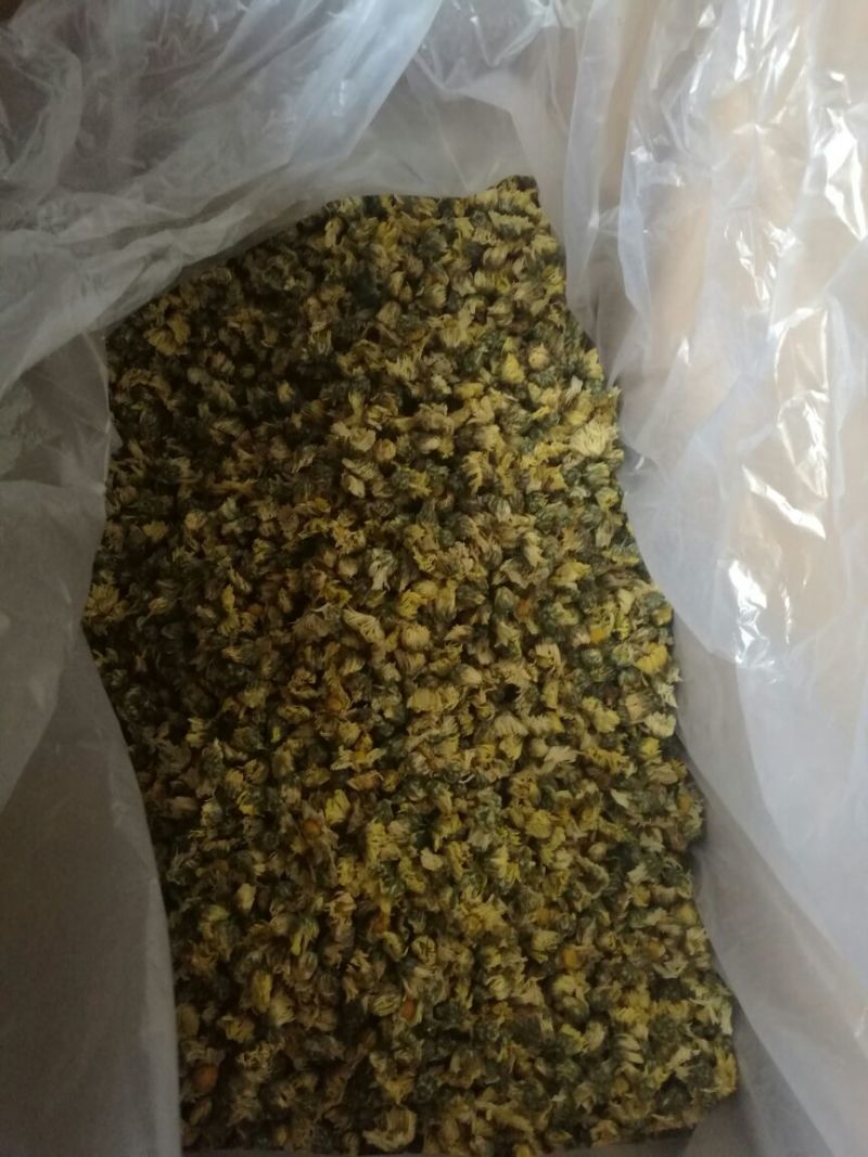 杭州白菊袋装