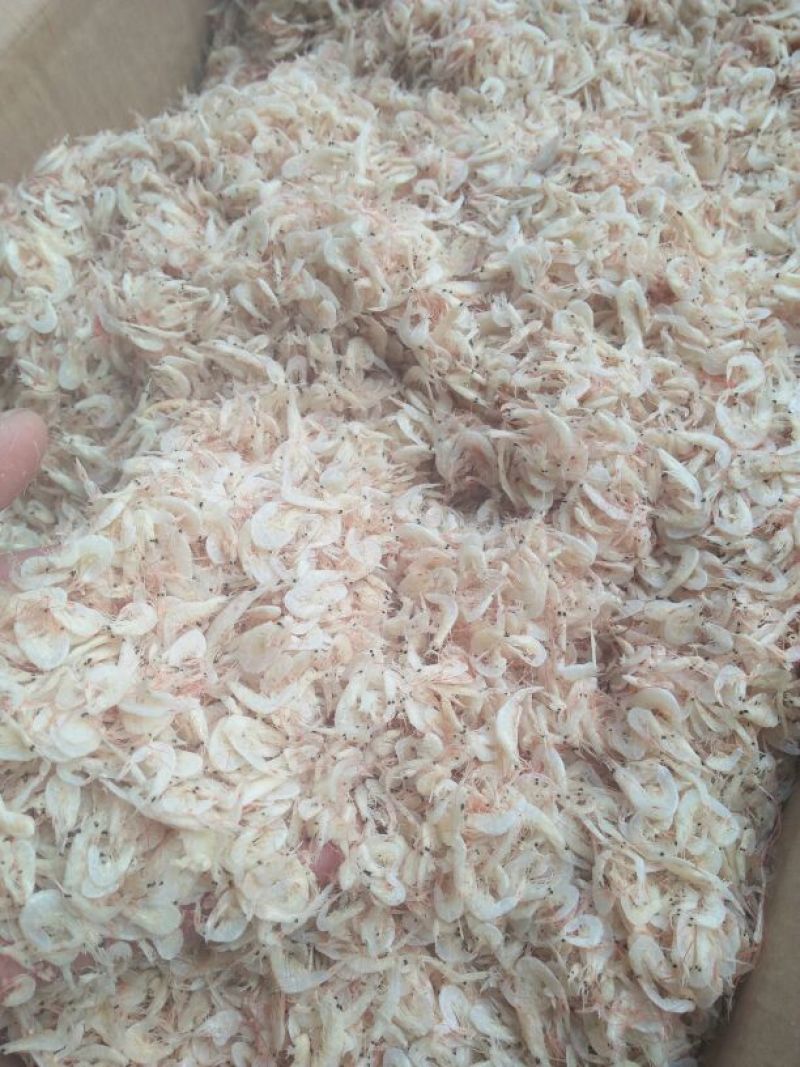 虾皮特级