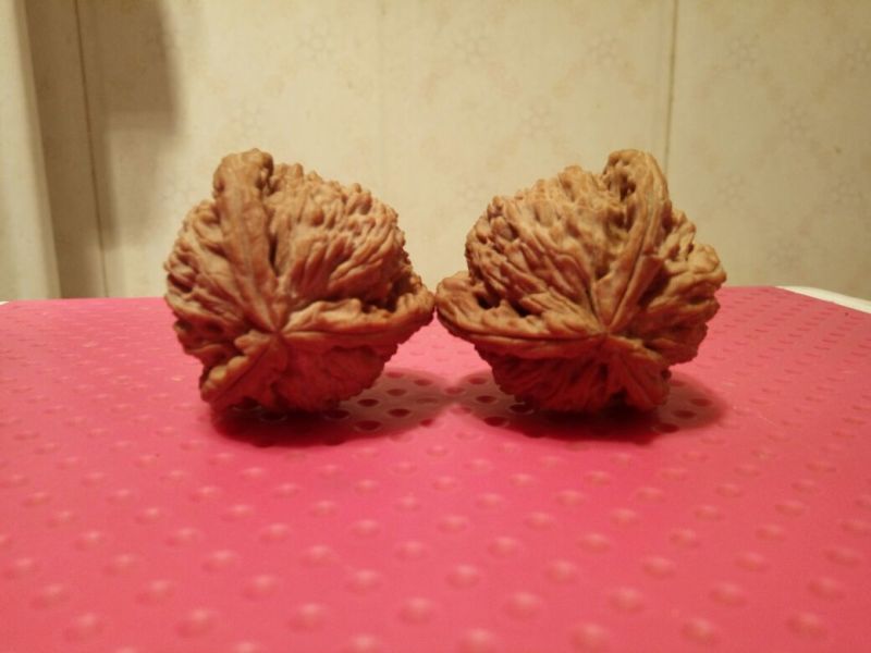 麻核桃去皮干