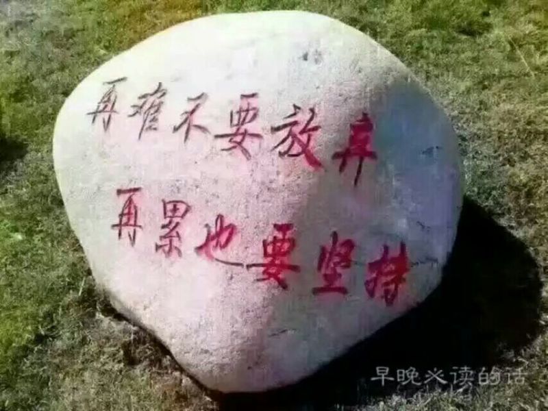 柿饼2~2.5两