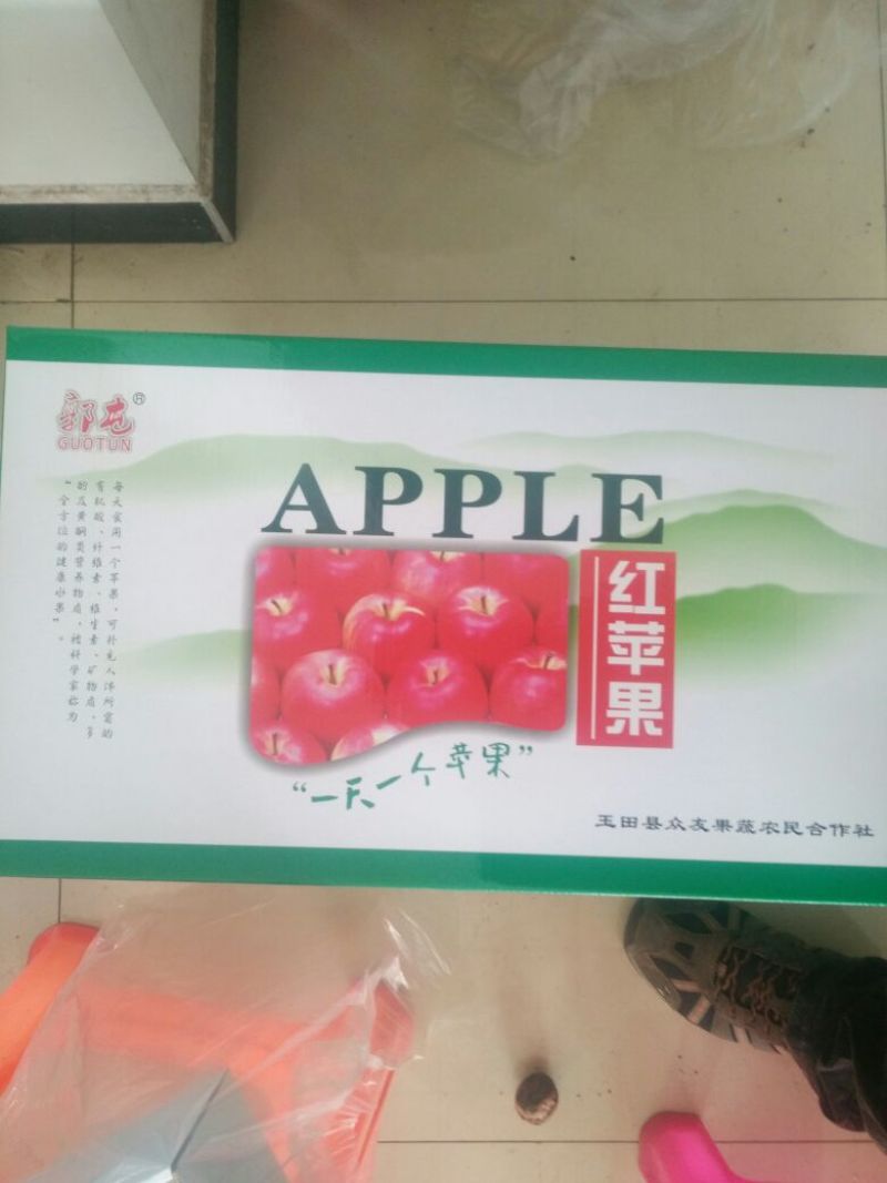 红富士苹果80mm以上膜袋