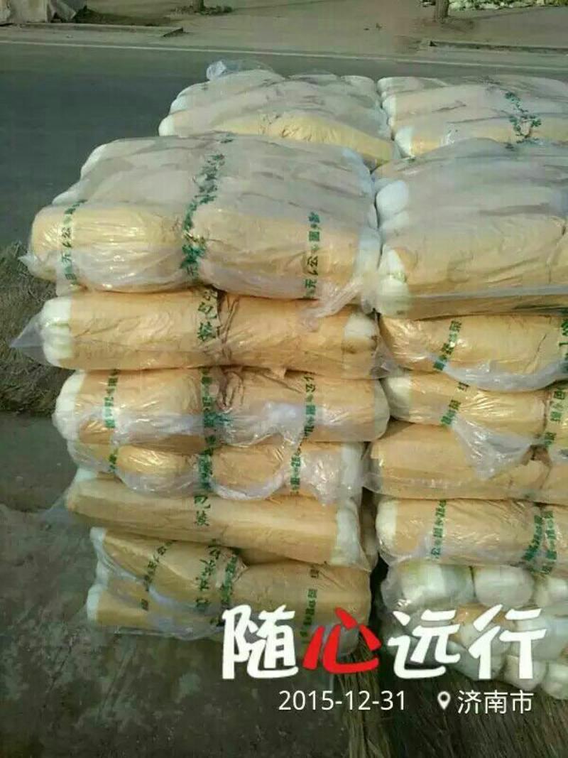 白菜北京新三号白菜山东白菜4-6斤净菜