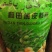 新疆核桃去皮干