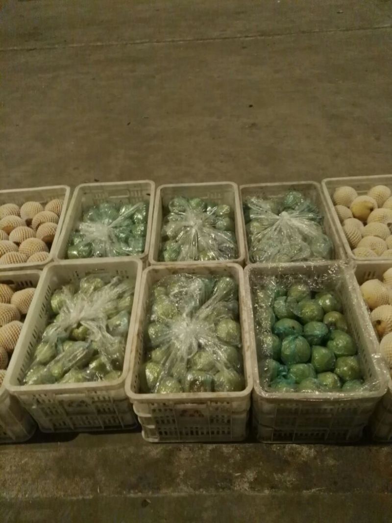 梨450~500g膜袋