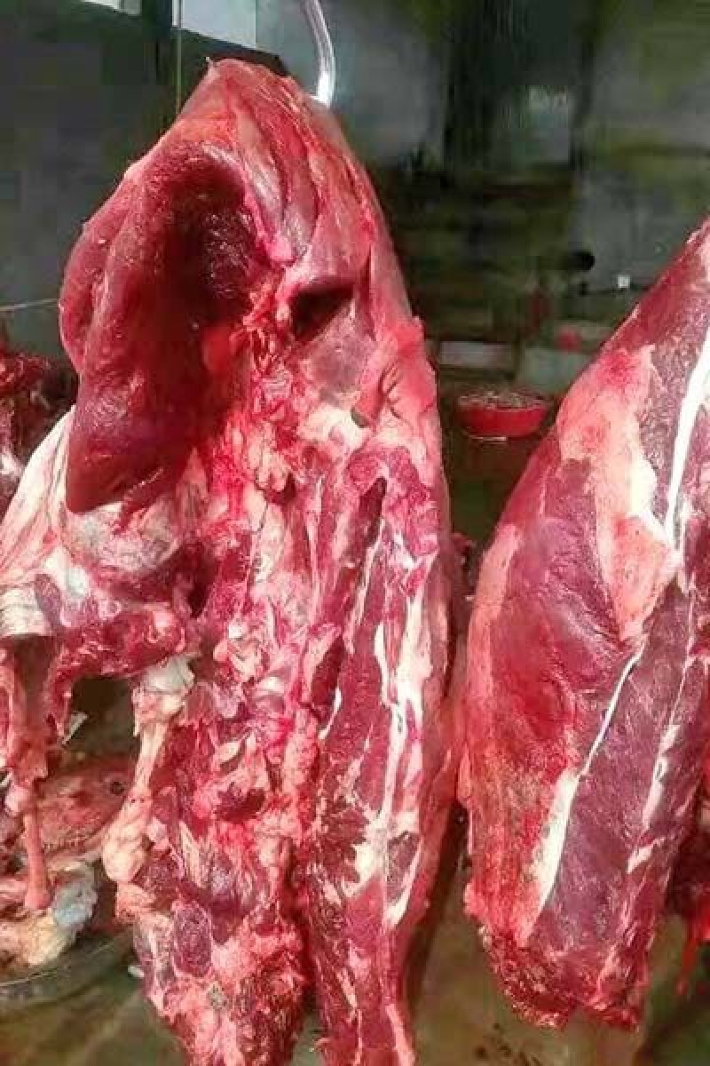 驴肉