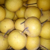 酸梨光果150~200g