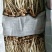 鲜茶树菇12cm