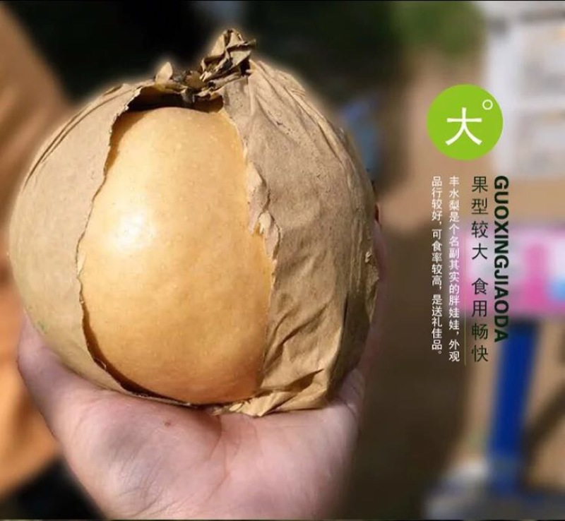 金翠香梨