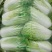 黄心菜白菜4~6斤