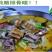 腊肉食用大排肉肉制品