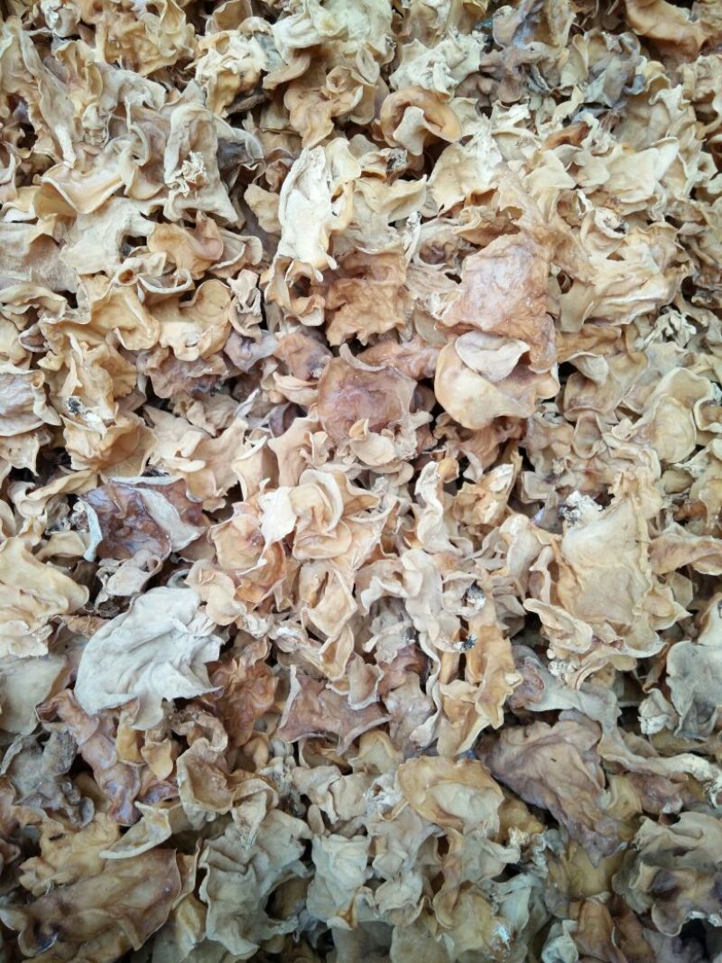 干木耳二级