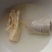 腐竹