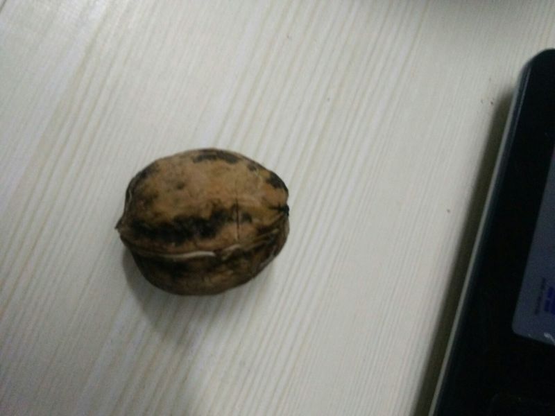 卢氏核桃去皮干
