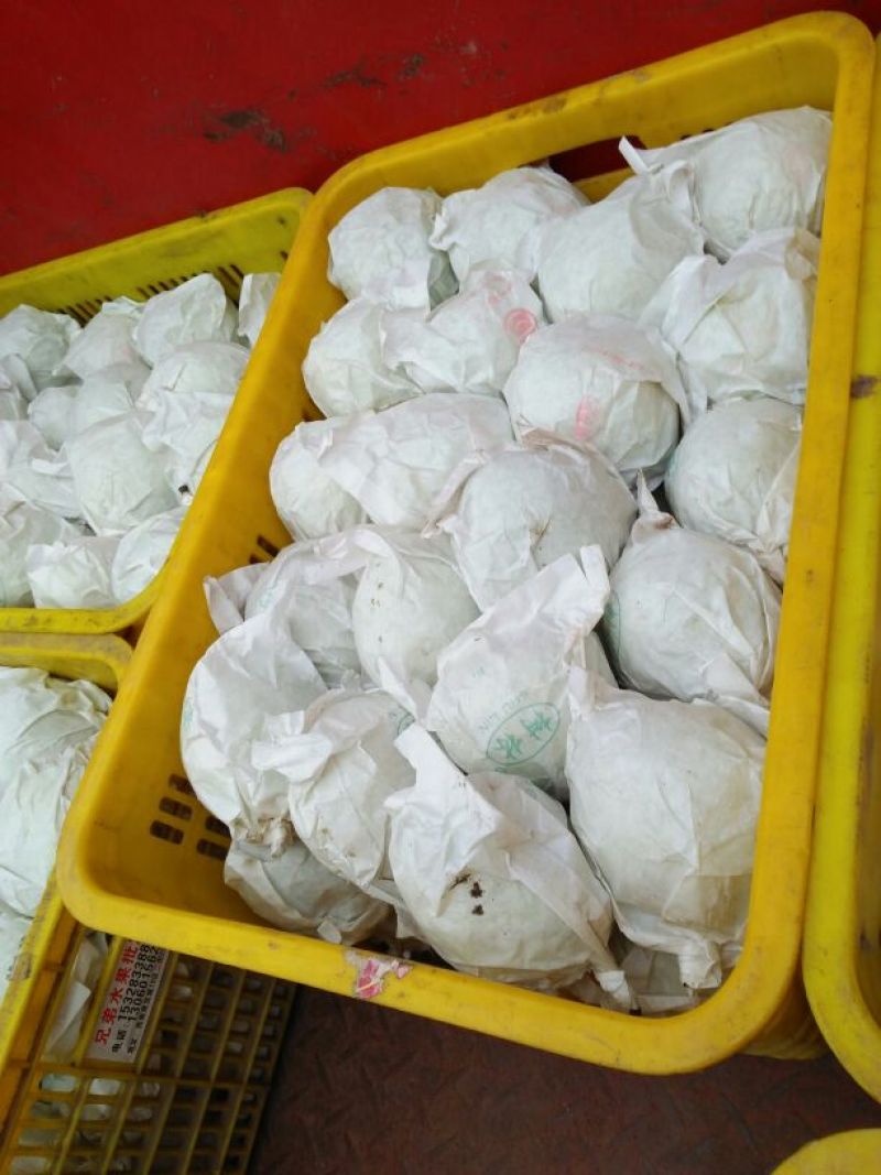 金花梨200~250g筐装