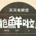网纹瓜3斤以上长圆形