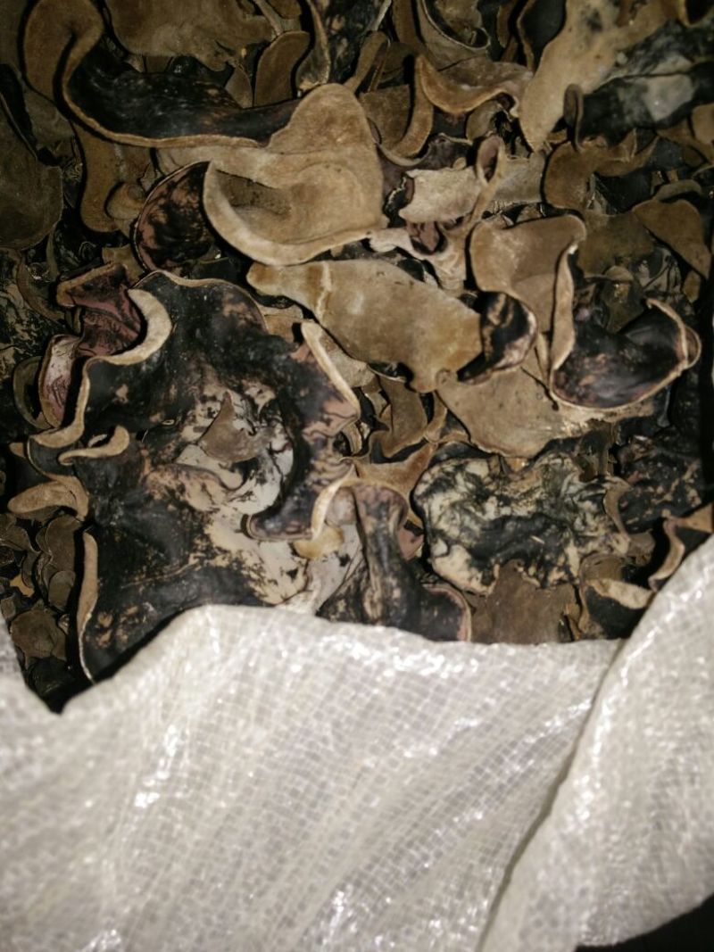 黑木耳特级
