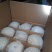 酥梨150~200g纸袋