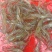 河虾冰鲜虾26~30只/kg