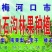 苹果梨350~400g光果
