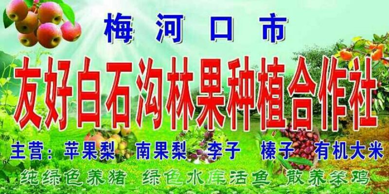 苹果梨350~400g光果