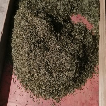 川茶二级