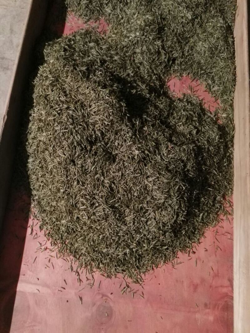 川茶二级