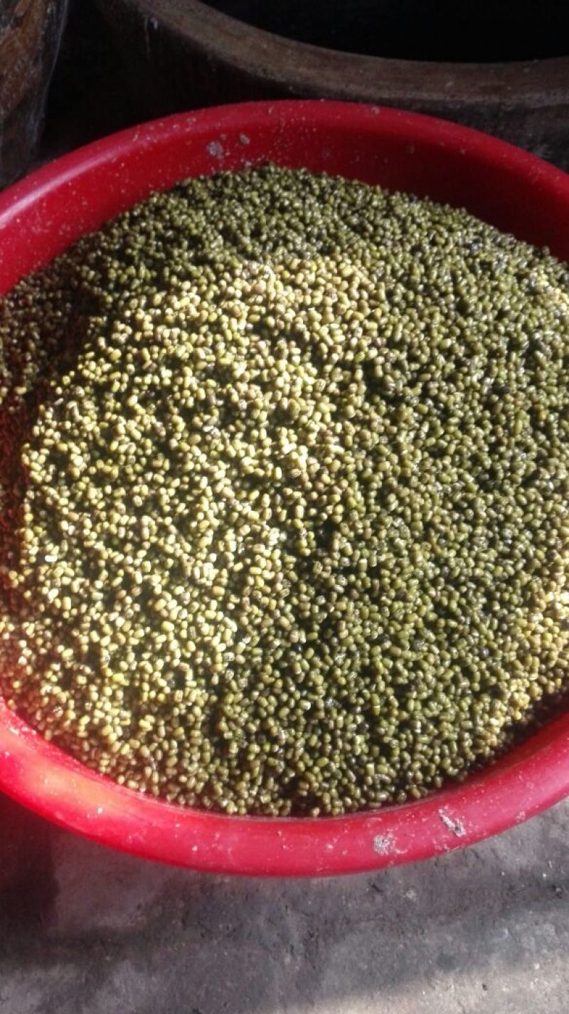 粉皮散装手工粉皮