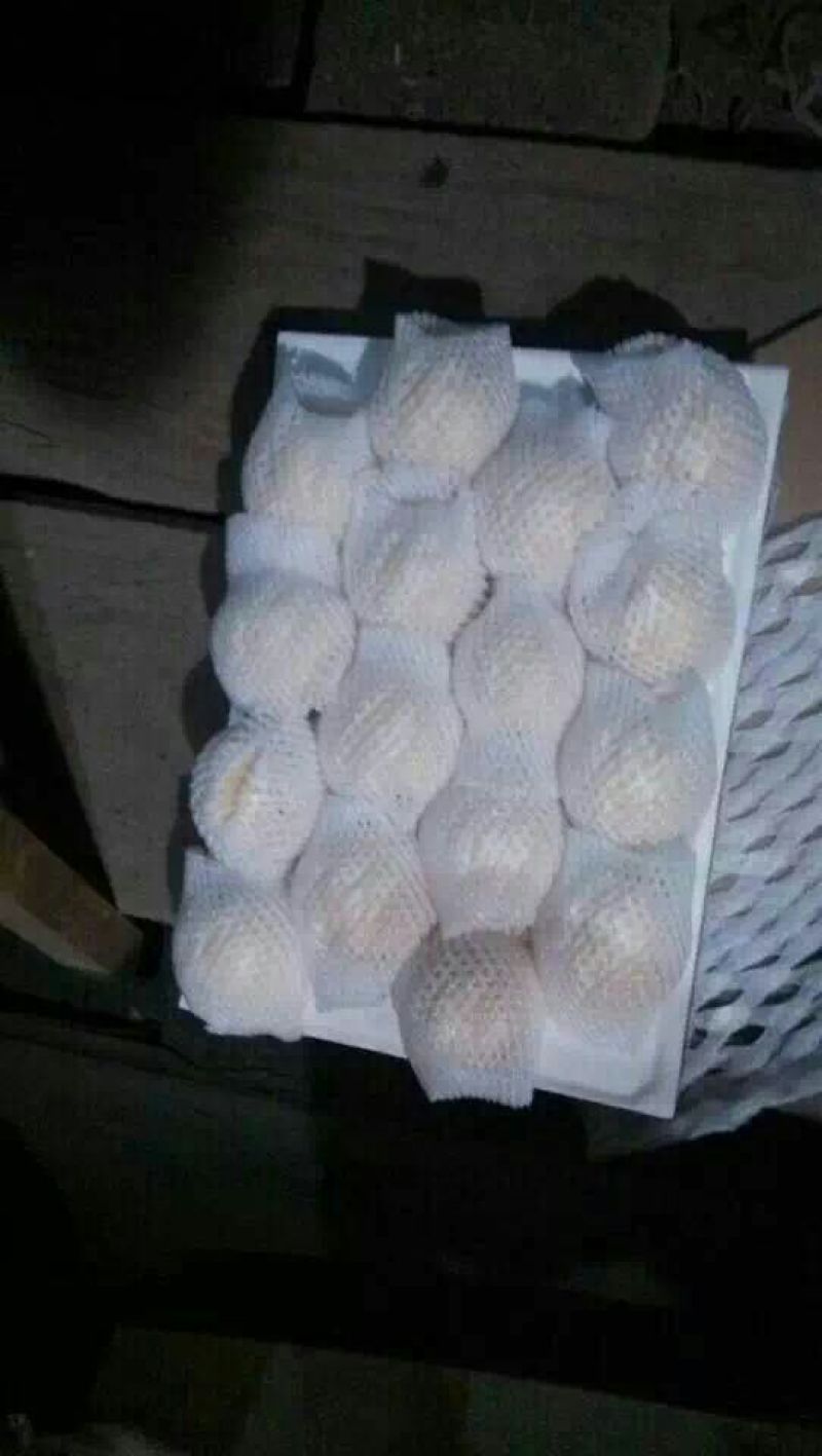皇冠梨250~300g纸袋