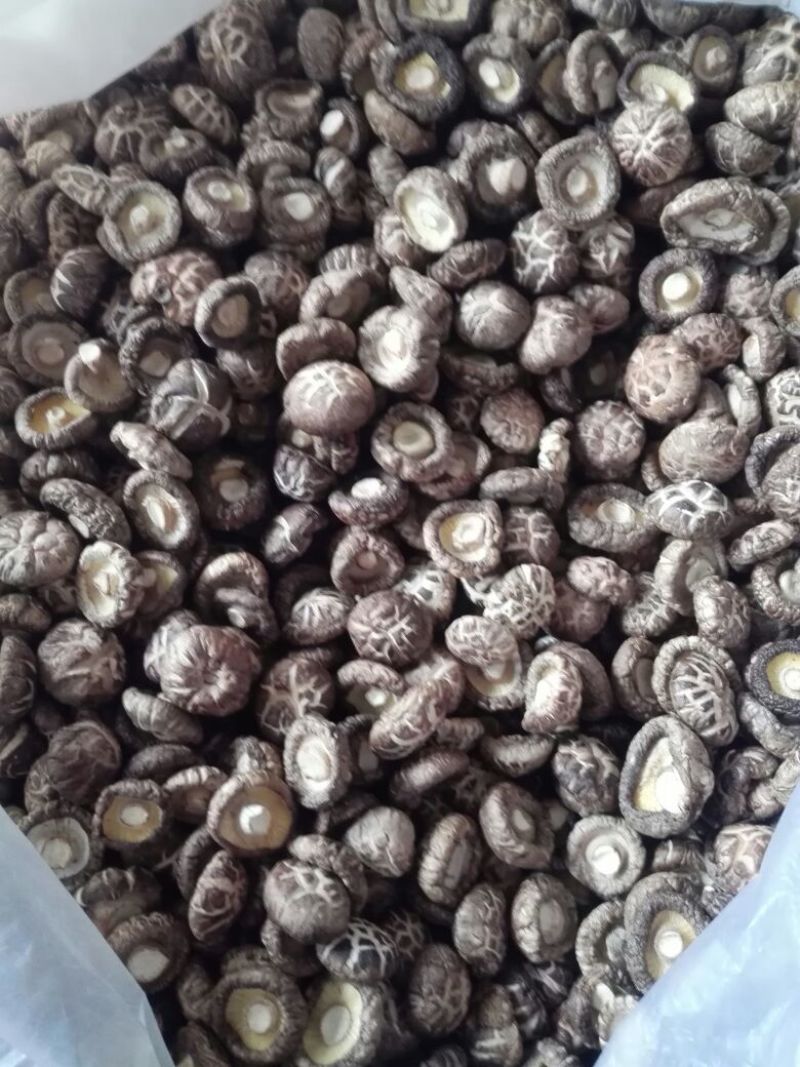 干香菇