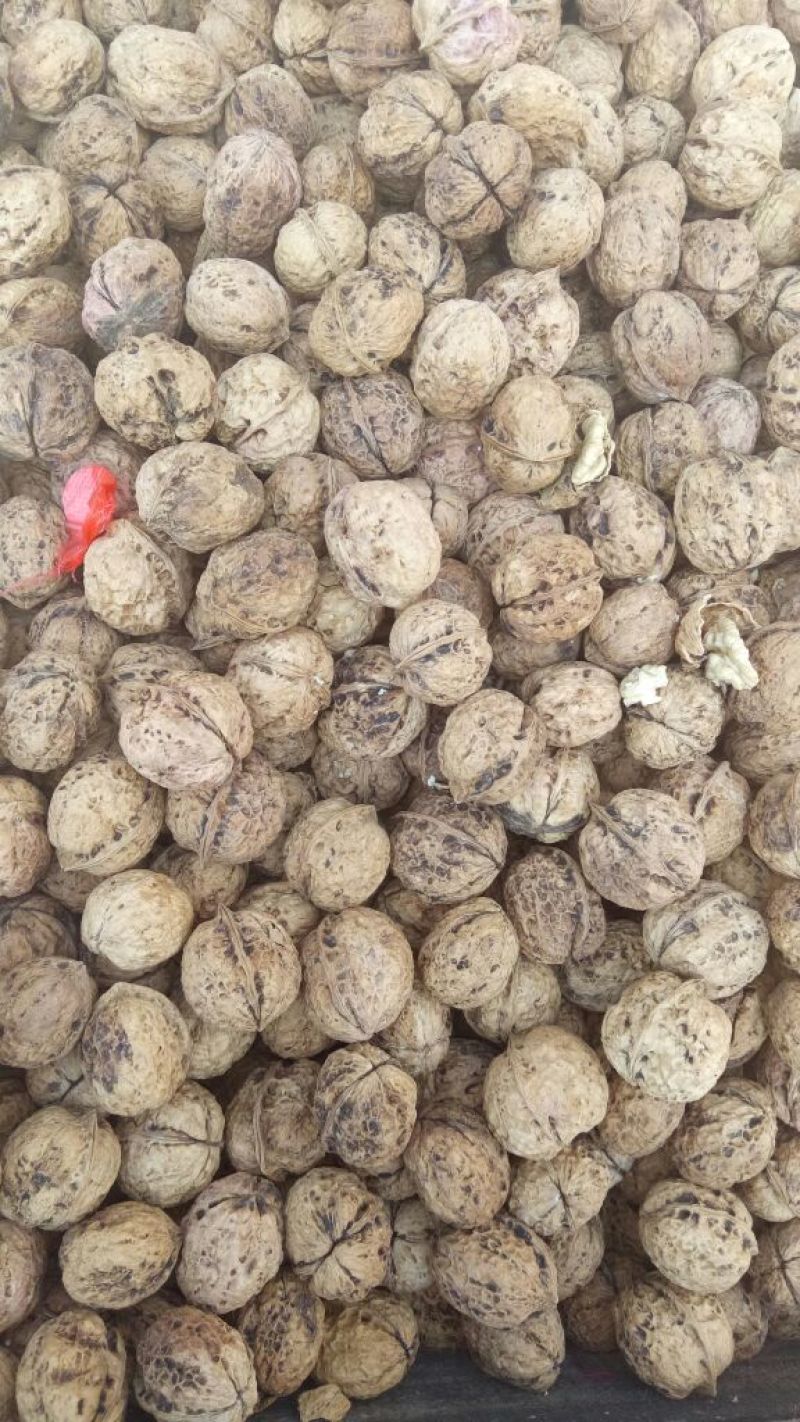 薄皮核桃去皮干