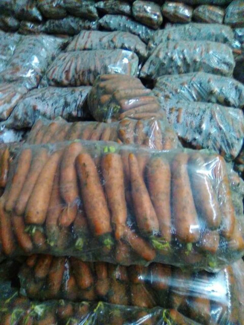 红皮萝卜0.2~1斤起