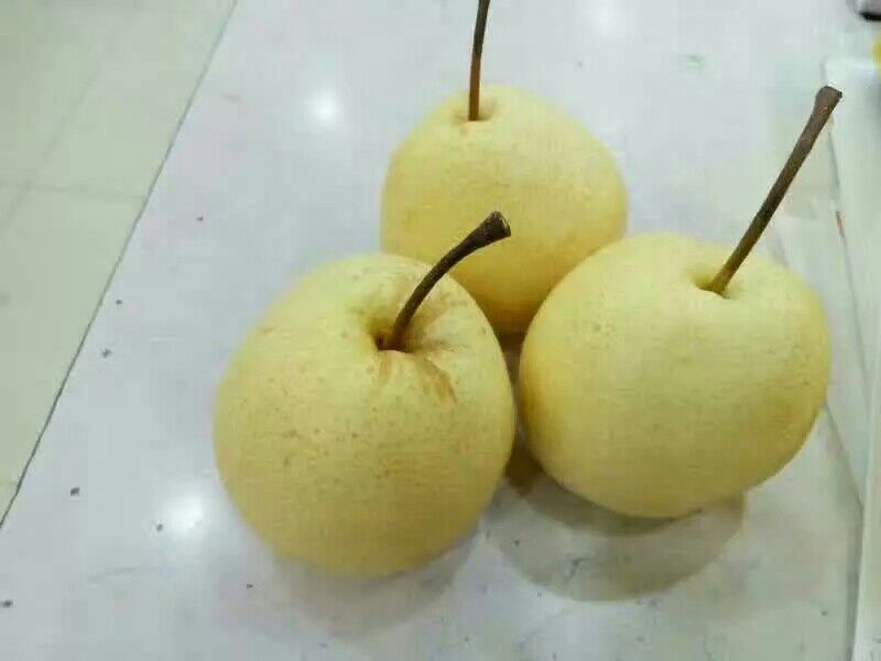 礼泉酥梨60~100g纸箱