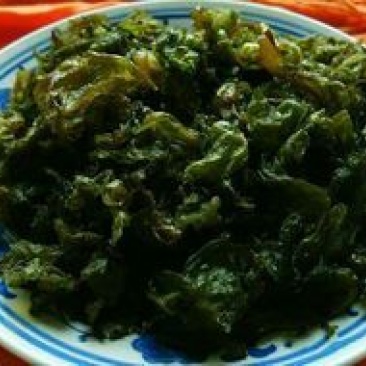 地皮菜