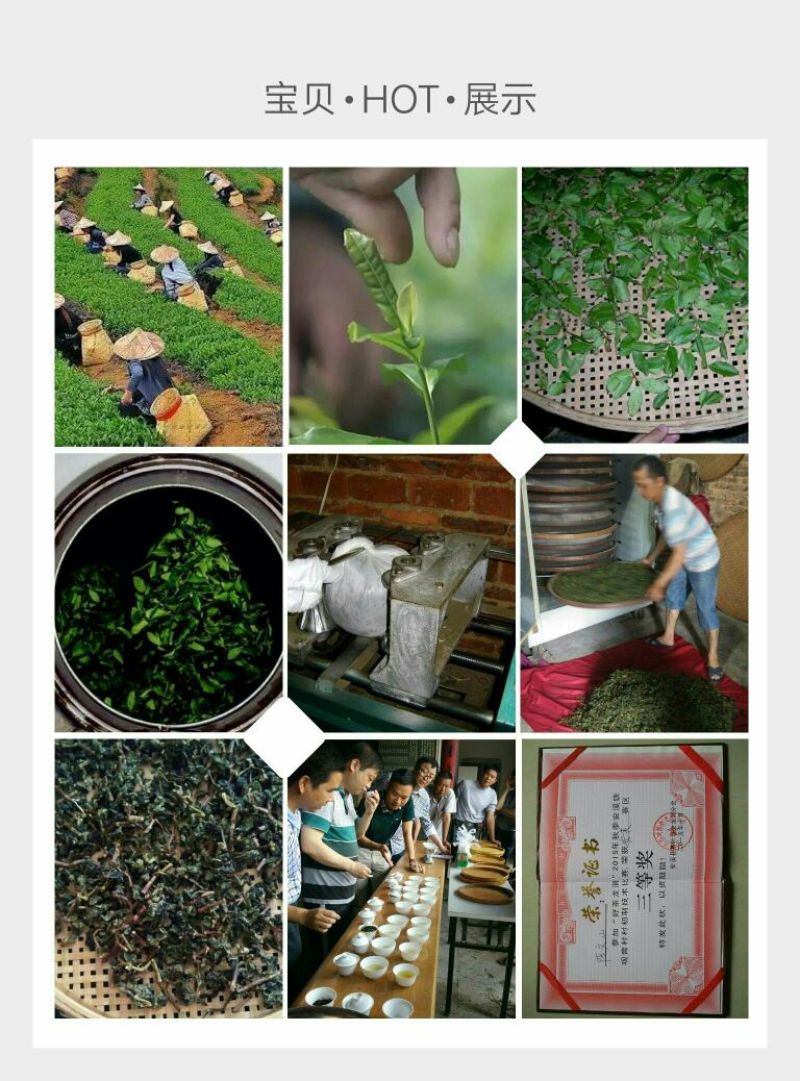 观音茶一级