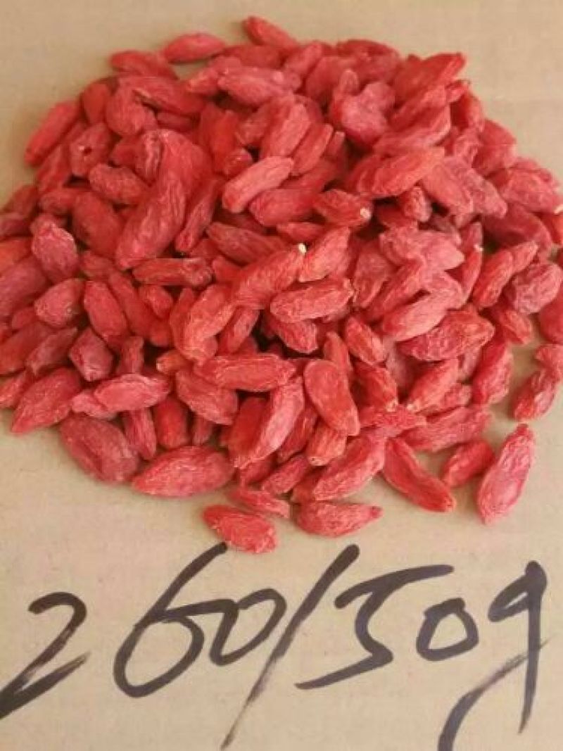 红枸杞干货头茬