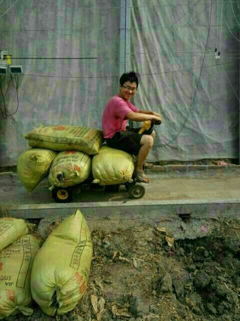 小动力植保机械