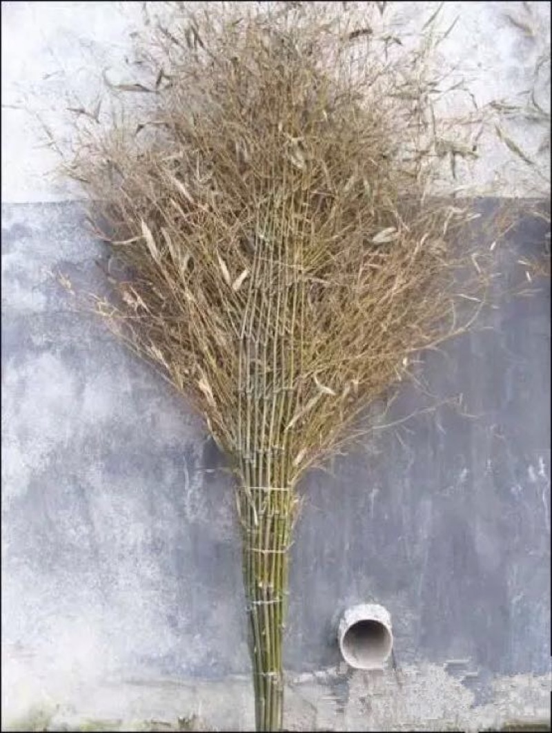 扫帚